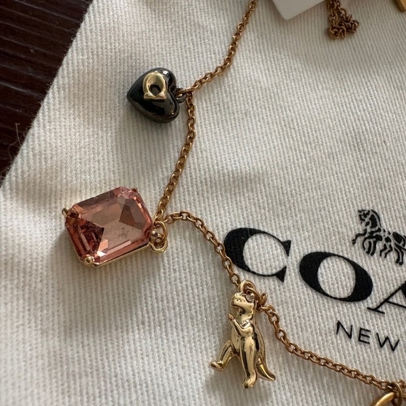 Coach Signature Tabby Charm Necklace - Picture 3 of 6